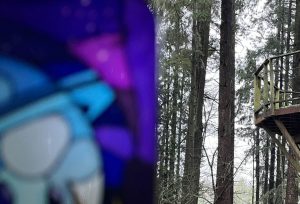 Blurry photo showing a blue and purple stained glass like item in front of a background of trees